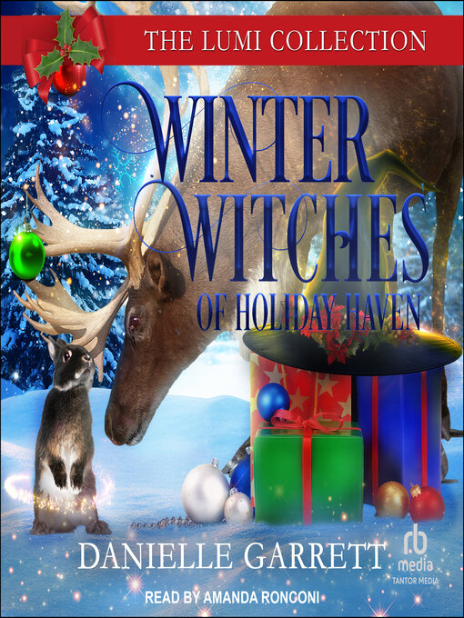 Title details for Winter Witches of Holiday Haven by Danielle Garrett - Available